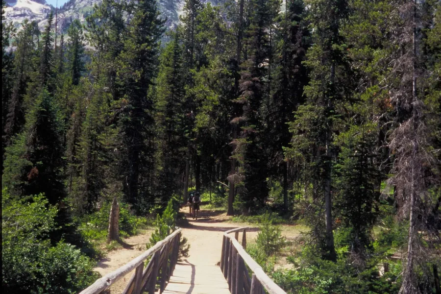 Choosing a Grand Teton Base: Distance, Access, and Trip Rhythm