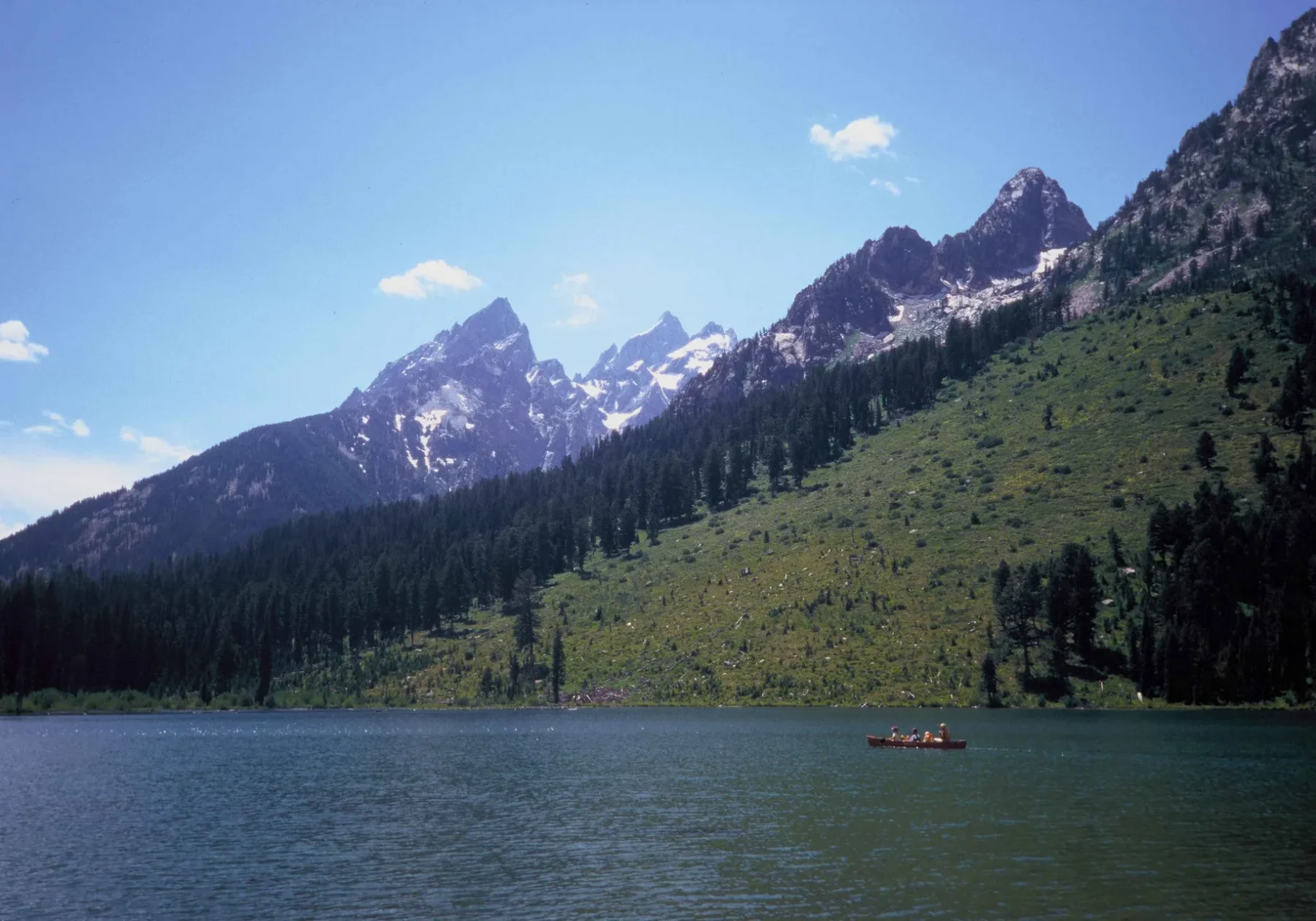 Reading the Snake River Braid: Channels, Gravel, and Living Water