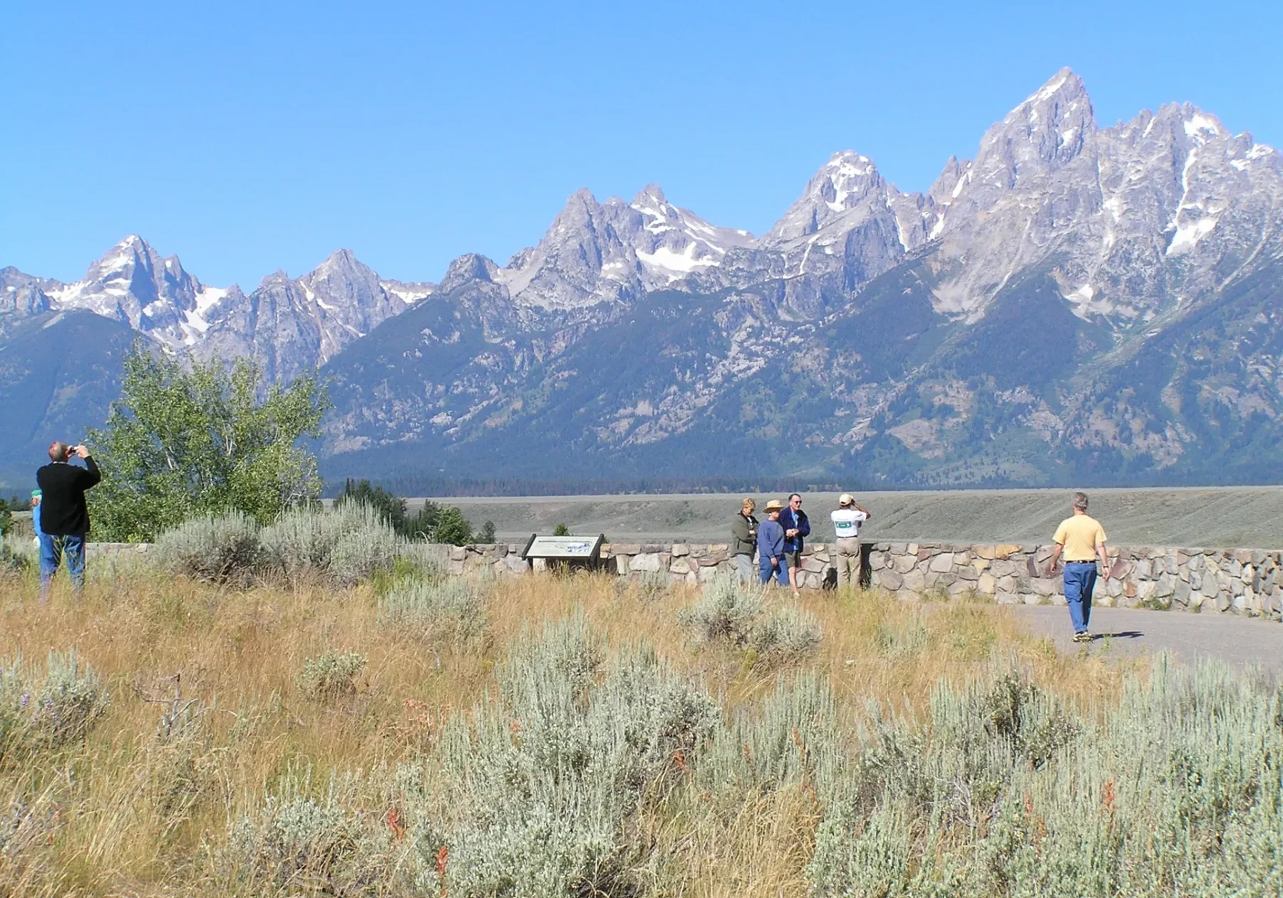 Sagebrush, Migration, and the Discipline of Distance