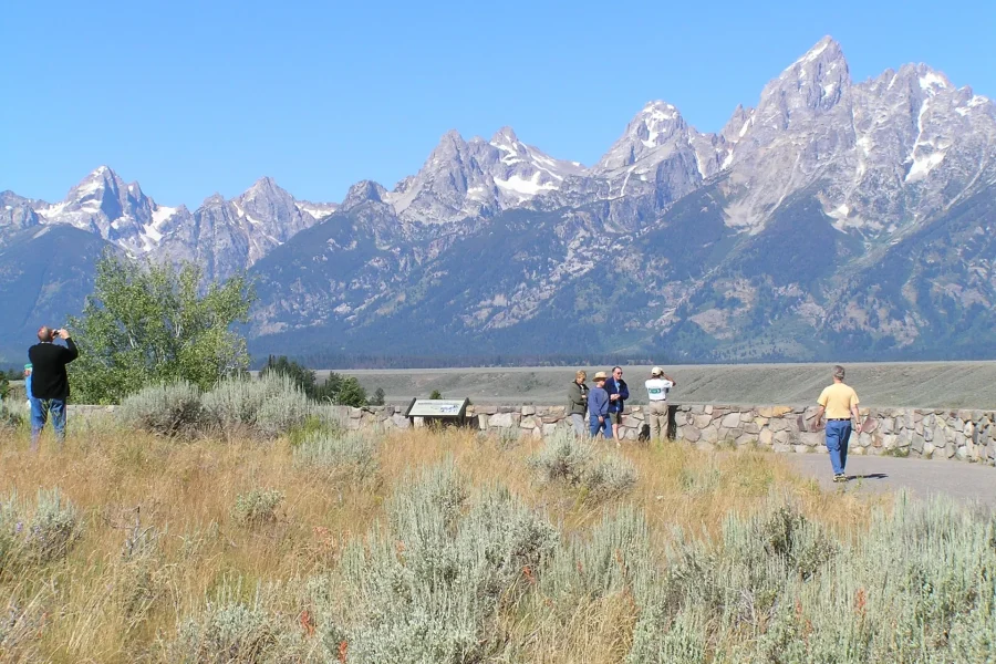 Sagebrush, Migration, and the Discipline of Distance